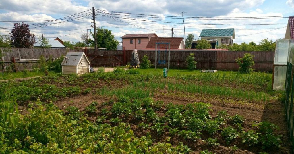 Погода дроздово калужской на неделю. СНТ Маяк 1 Калужская область. Дроздово Калужская область. Дроздово Калужская область город Белоусово.