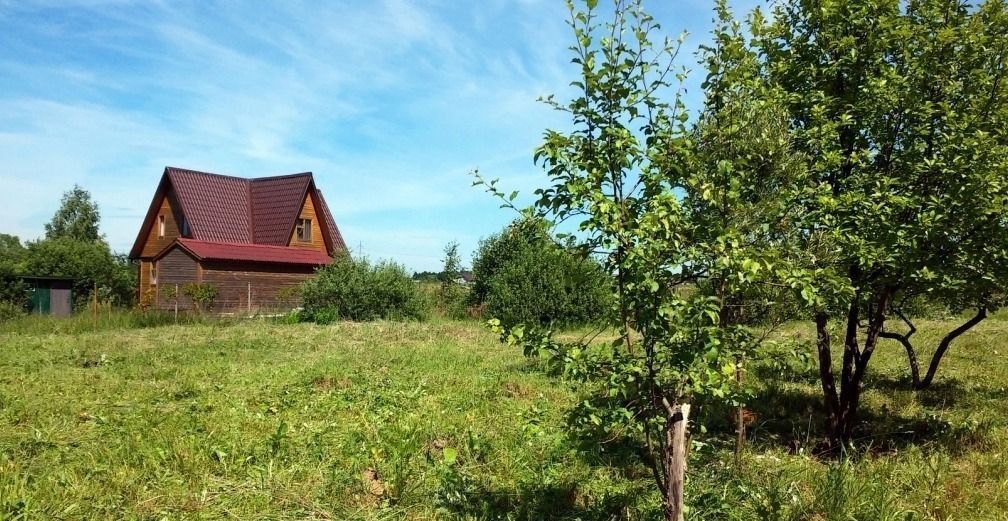 Снт янтарь участок. Челябинск снт янтарь улица 3 участок 19. Снт янтарь. Снт янтарь участок. Снт янтарь калининград.