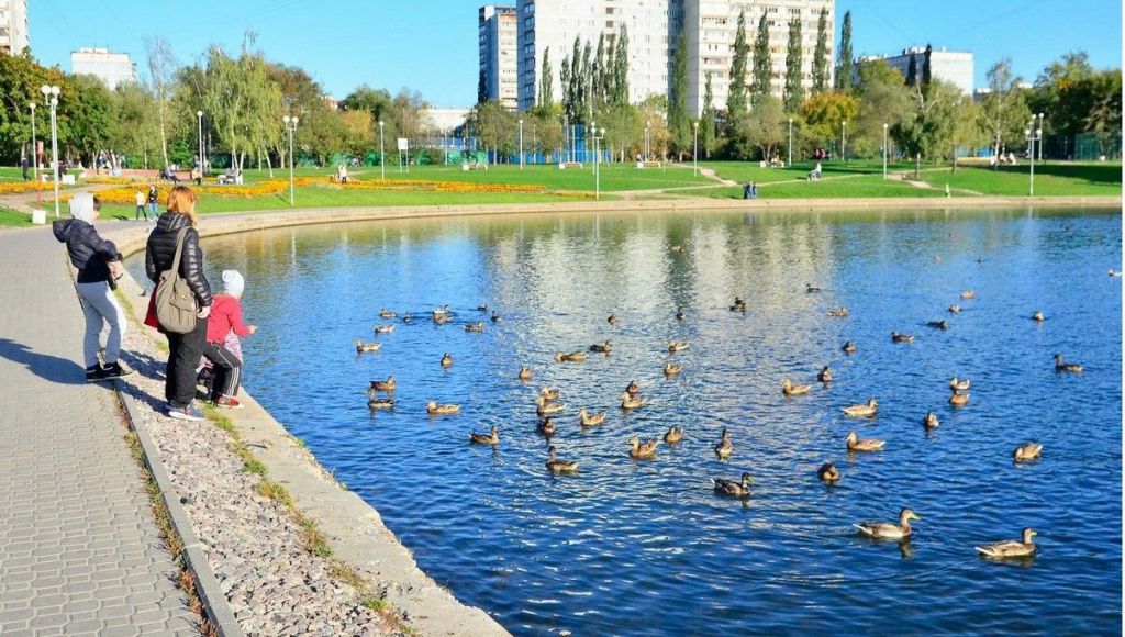 Погулять в щелково. Парк Гольяновский пруд. Гольяновский сквер Москва. Гольяновский пруд в Москве. Гольяновский парк Москва.