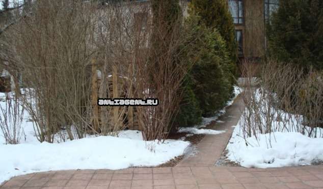 Аренда дома садовое товарищество Москва, цена 45000 рублей, 2023 год объявление №706508 на megabaz.ru