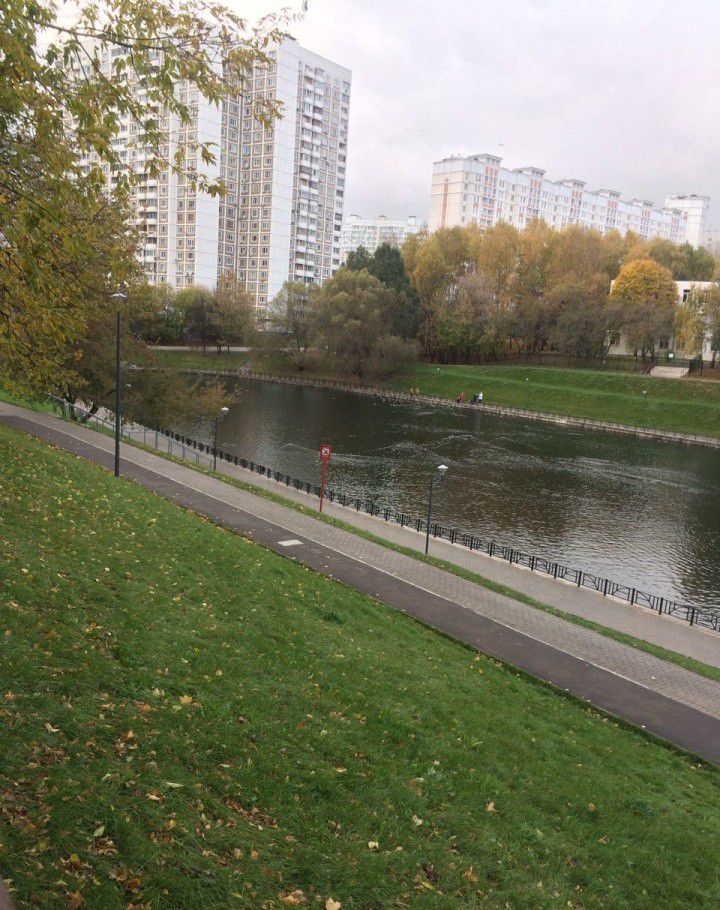 Сколковское шоссе. Пруд Сколковское шоссе. Сколковское шоссе Москва. Славянский бульвар район. Сколковское шоссе пруд утки.