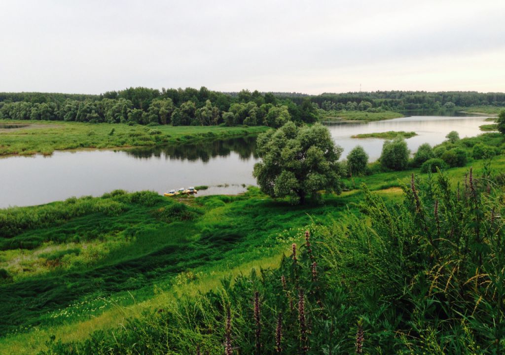 Погода деревня мышкино. Можайское водохранилище деревня Мышкино. Храм в Мышкино Можайский район.