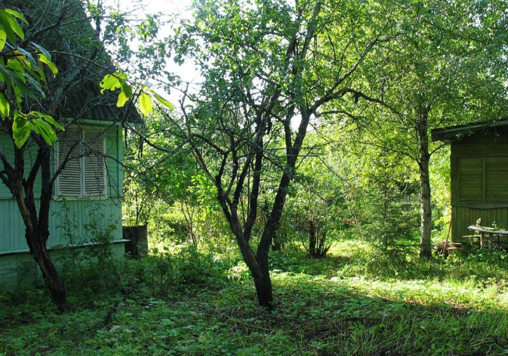 Пушкинский р н зеленоградский