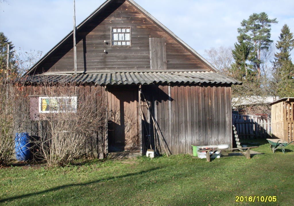 Деревня крутик. Кострома лес. Поселение крутик. Деревня крутик. Деревня крутик.