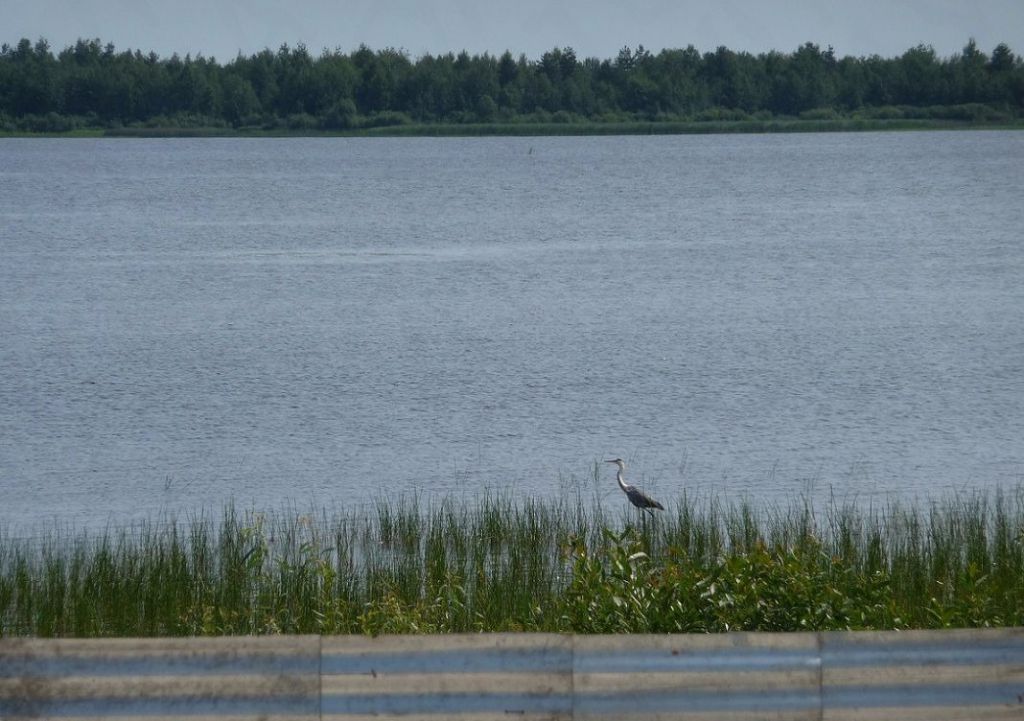 Купить Дом В Югино Шатурский Район