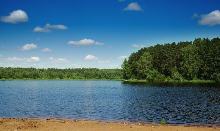 Озеро боровое московская область. Озеро Боровое Ногинск. Озеро Коверши Ногинск.