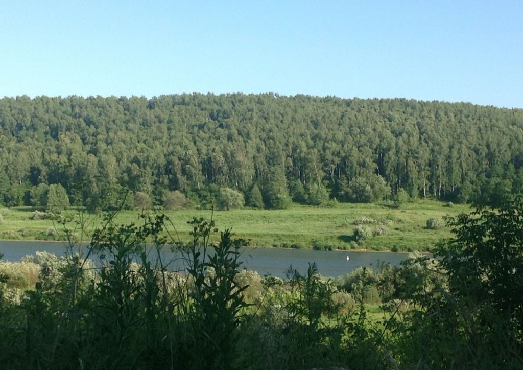 Петровка тульская область. Алексин Петровка река. Алексин дом у реки. Петровка Тульская обл.. Город Алексин микрорайон Петровка.