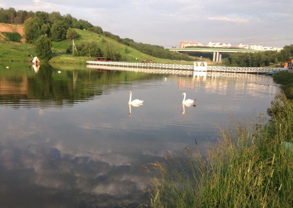 Село ромашково. Усадьба Ромашково озеро. Пруд Ромашково Одинцово. Ромашково пруд Московская область Одинцовский. Одинцово село Ромашково клевый.