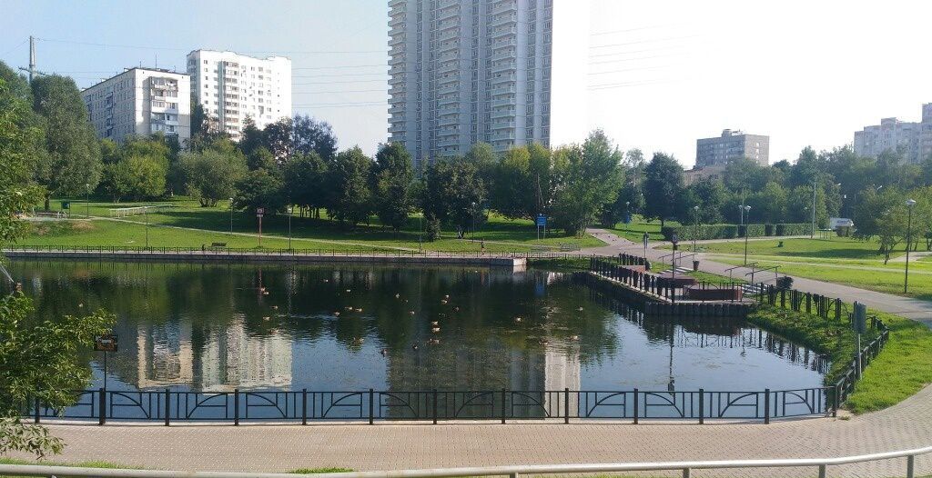 Сколковское шоссе. Пруд Сколковское шоссе. Пруд Сколковское шоссе площадка. Сколковское шоссе Москва. Сколковское шоссе 30.