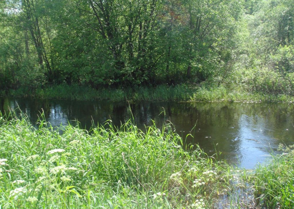 чагра. чагры самара. речка чагра. озеро шамсутдин бирский район. станция чагра фотографии.