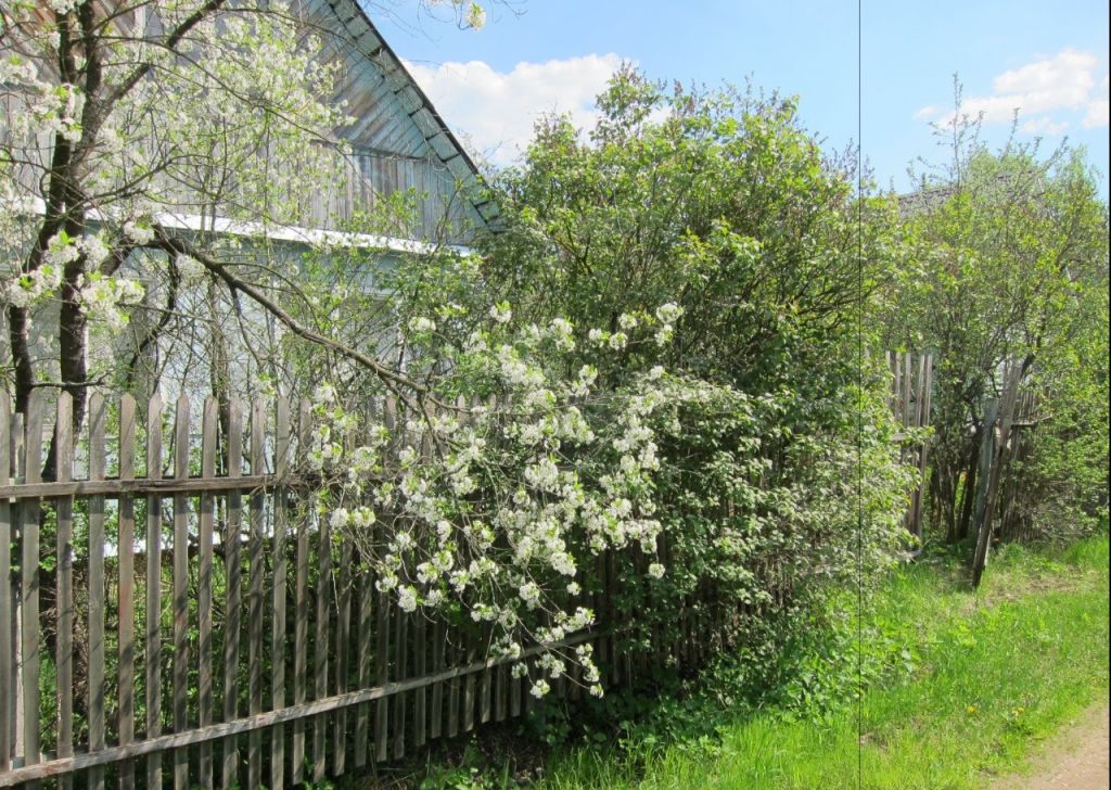 Снт Тишина Раменский Район Купить Дачу