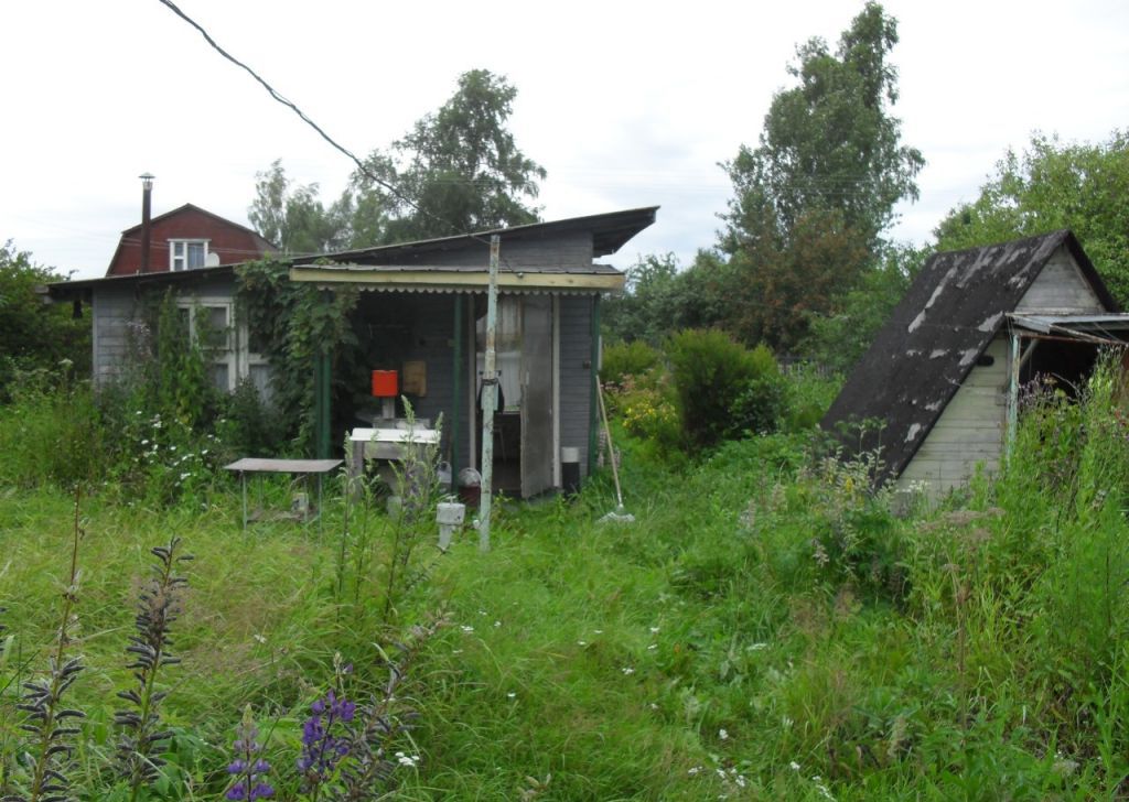 Погода в волоколамском районе снт зубово. СНТ Носово Луховицкий. Мшинская СНТ Нептун.