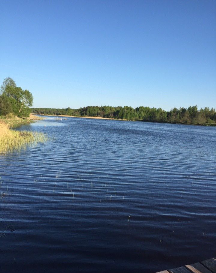 Река хотча тверская область фото