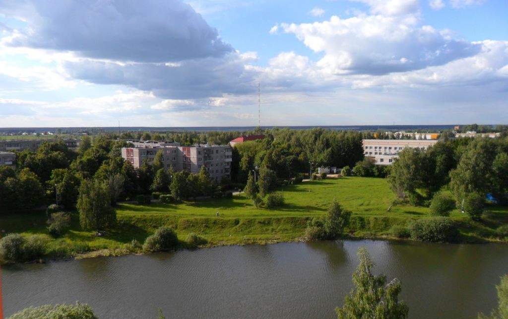 Поселение вороновское. Поселок ЛМС Вороново. Поселок ЛМС Московская область. Пос.ЛМС поселение Вороновское. Пруд Вороново ЛМС.