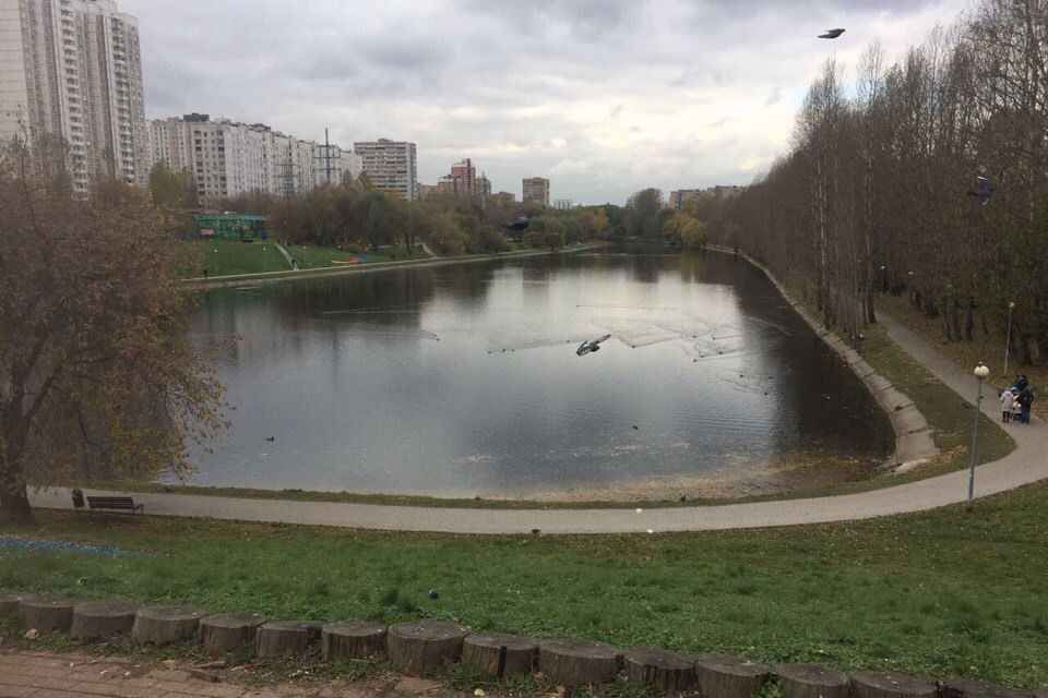 Можайск славянский бульвар. Беловежский пруд Славянский бульвар. Пруд у метро Славянский бульвар. Литовский бульвар д.4 пруд. Озеро на бульваре Дмитрия Донского.