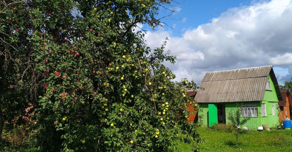 Купить Дом В Базарово Дмитровский Район