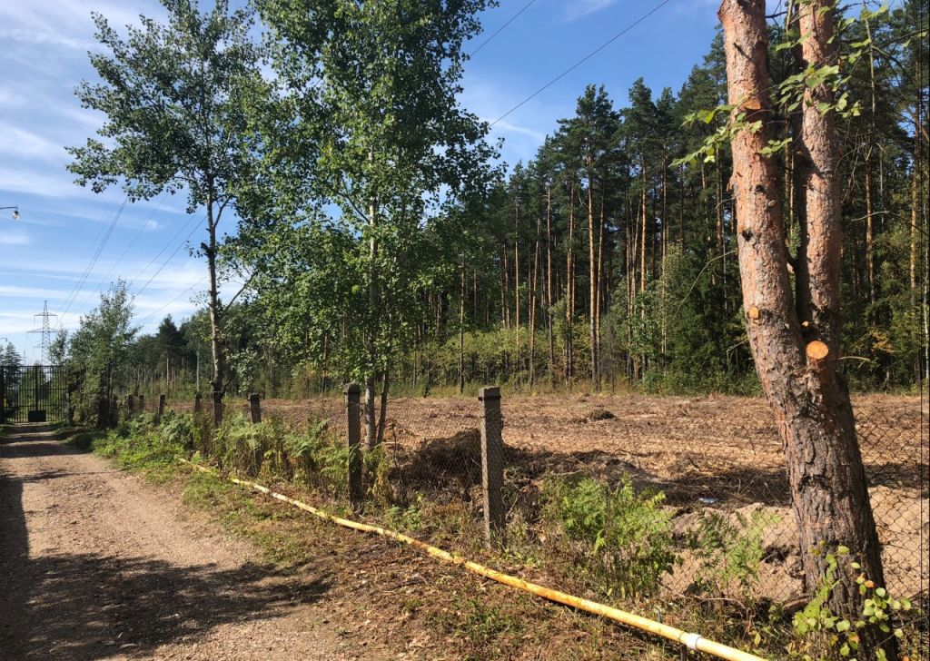 Купить Участок В Донино Раменского Района