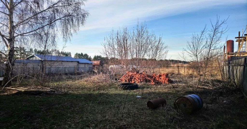 Погода в астапово. Астапово Московская область.