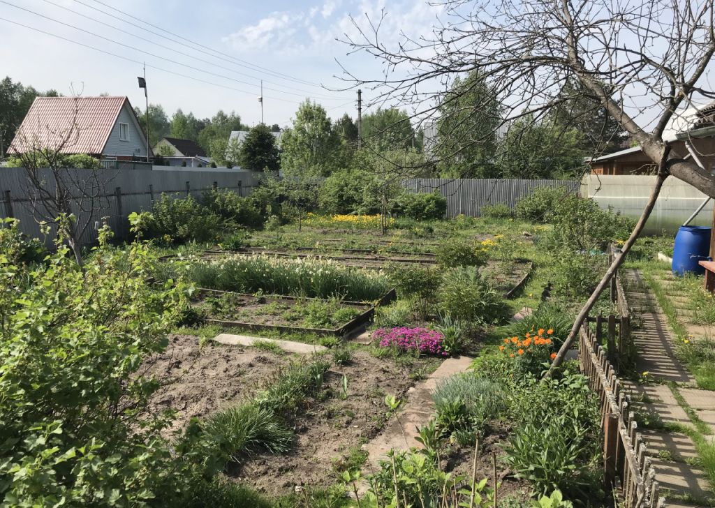 Купить Дачный Участок В Павловском Посаде