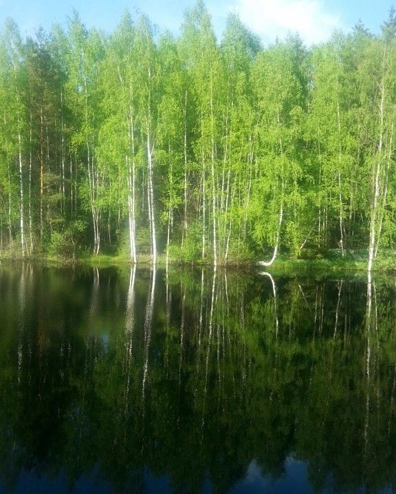 Новоникольское запрудня. Фото п. Запрудня Талдомский р-он.