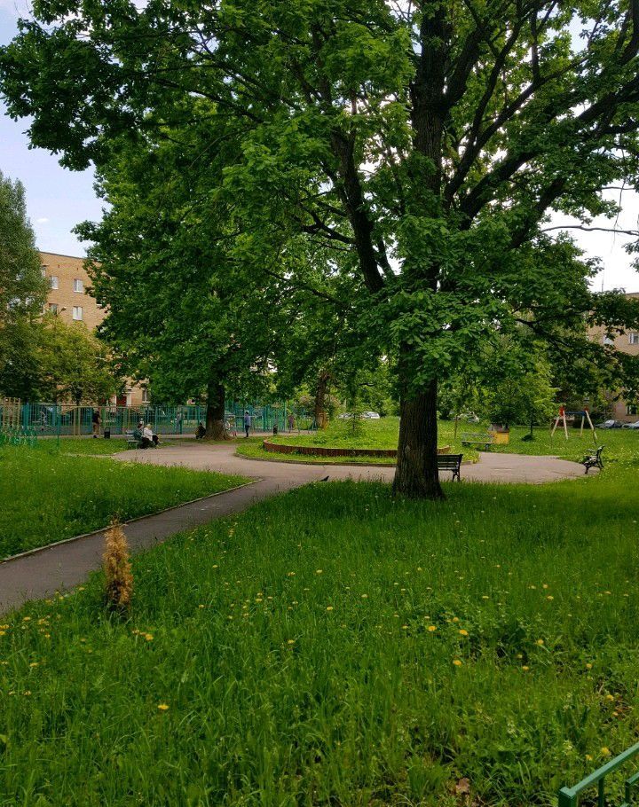 Петровское видное московская область. Петровский проезд Видное. Петровский проезд 41 Видное. Видное 2 Петровский проезд 2. Петровское в Видном.