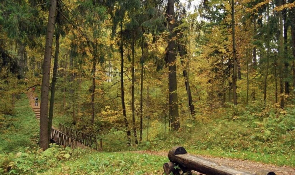 Село абрамцево. Заповедник Абрамцево. Абрамцево природа. Усадьба Абрамцево в Подмосковье. Римская роща в Абрамцево.