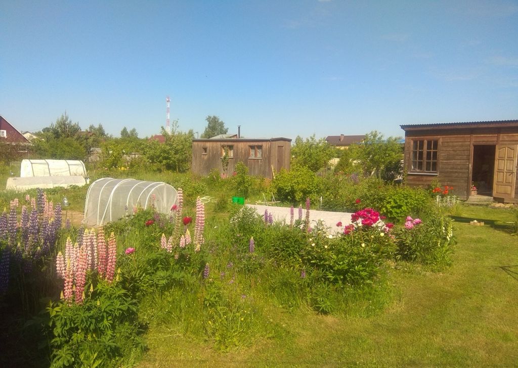 Купить Дачу В Дуброво Ногинск 9