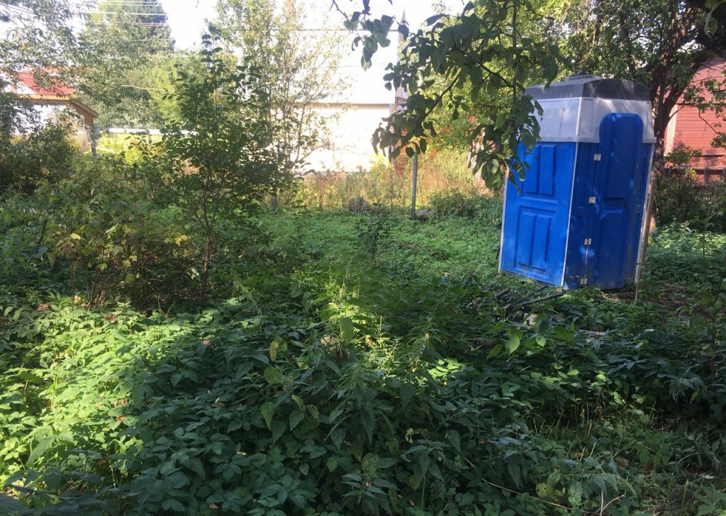 Снт ленинградец. Снт ленинградец кот маркиз. Истринские дачи. Снт экран рыбинск. Снт ленинградец кот маркиз.