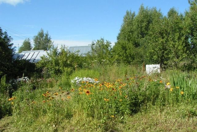 Купить Дачу В Снт Борец Талдомский Район