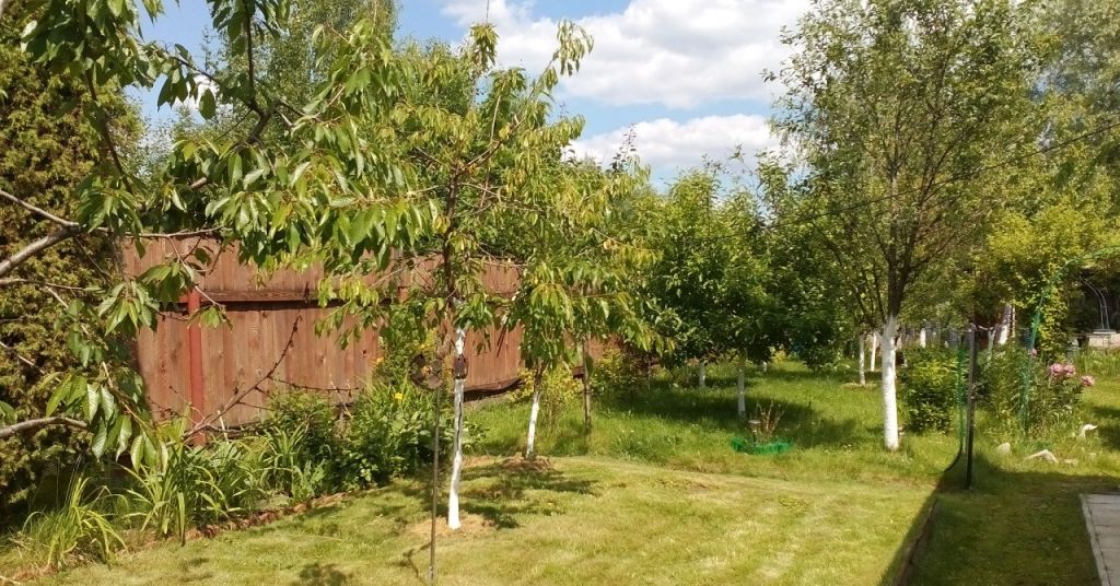 Купить Дачу В Хорлово Воскресенского Района