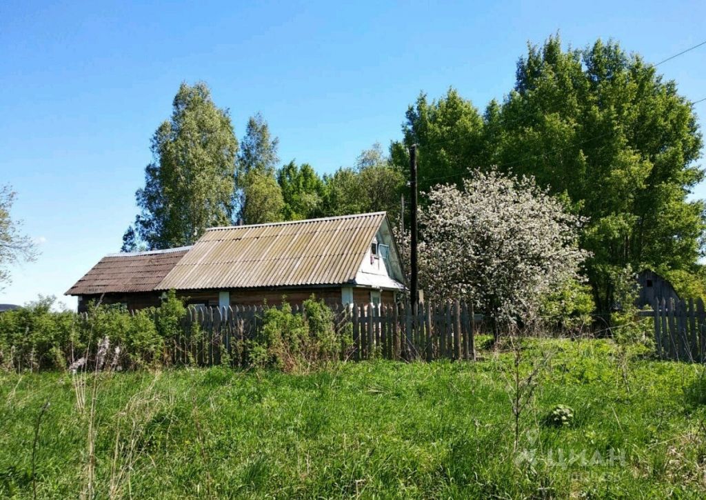 Деревня куплена на фото. Сельское поселение Теряевское. Деревня танково Волоколамский район. Щитники деревня Волоколамский район. Сельское поселение Теряевское Волоколамского района.