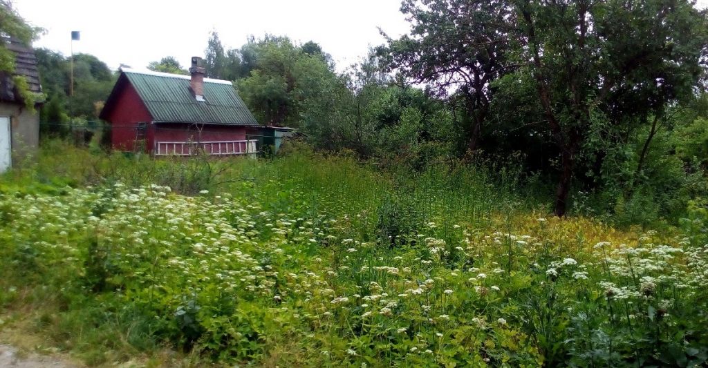 Купить Доллары Город Воскресенск Московская Область