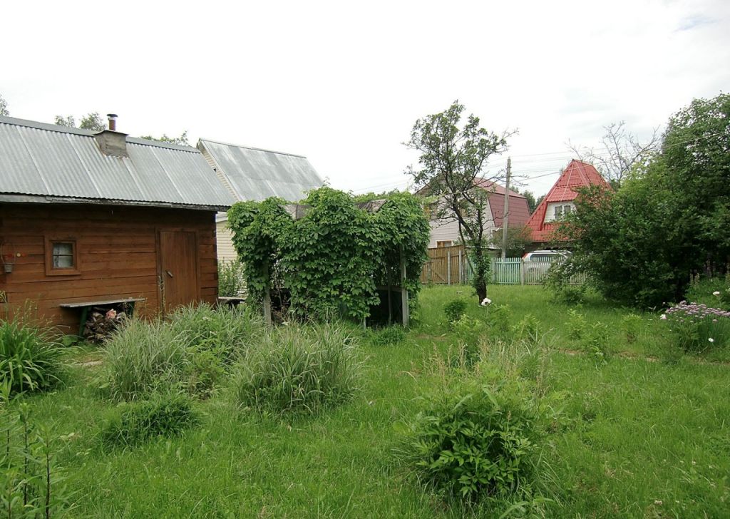 2 я смирновка. 2 я смирновка. Солнечногорск, поселок 2-я смирновка. 2 я смирновка. 2 я смирновка.