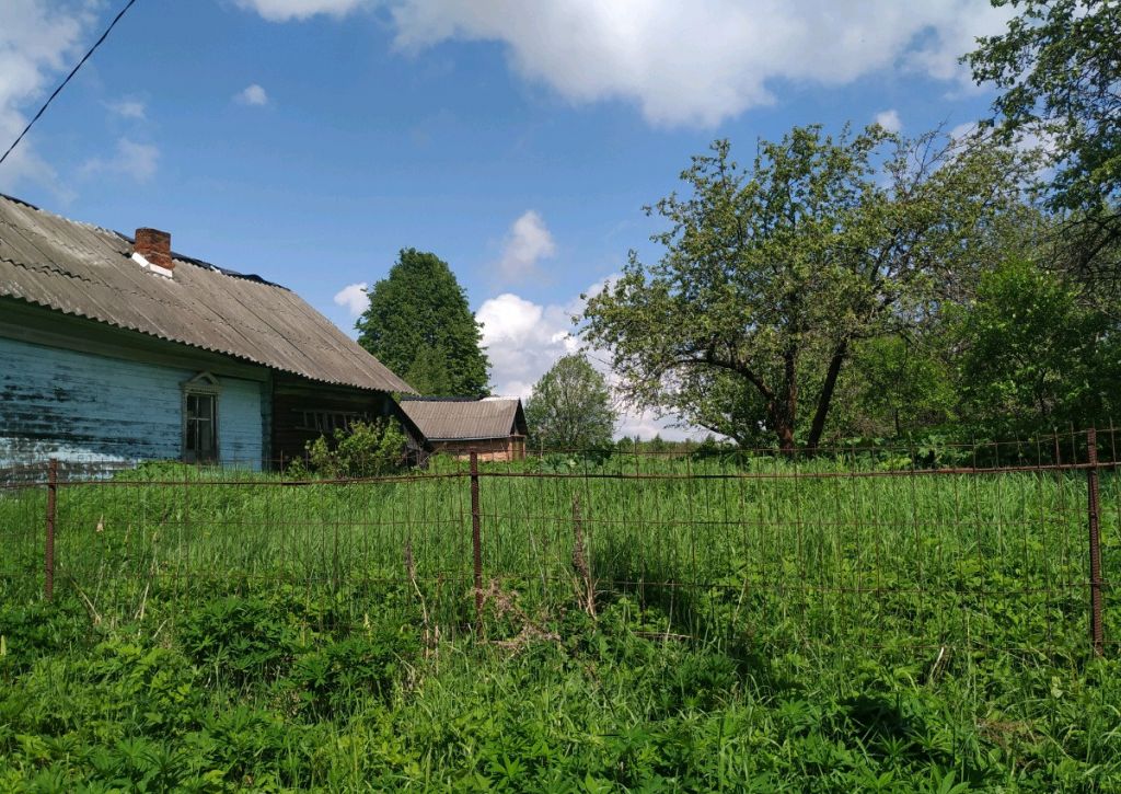 Ферма В Д Саньково Клинского Района Фото