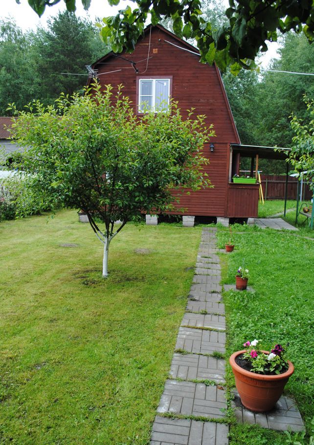 снт комета воскресенский район. снт комета фото. озеро дальнее павлово-посадский район. снт официальный сайт. д.