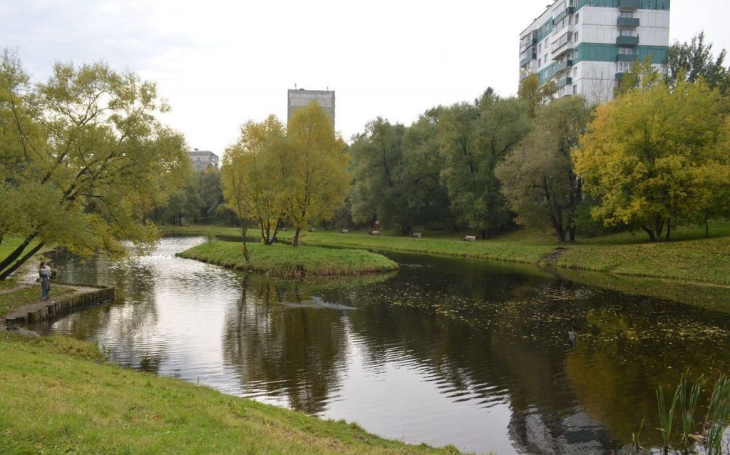 Комната у метро царицыно