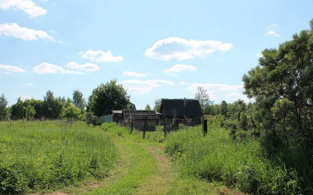 Домкино лужский район фото