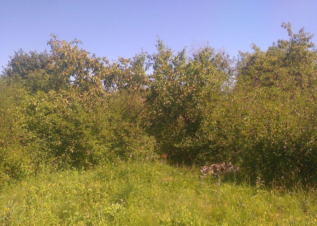 Купить Дом В Конобеево Рязанской Области