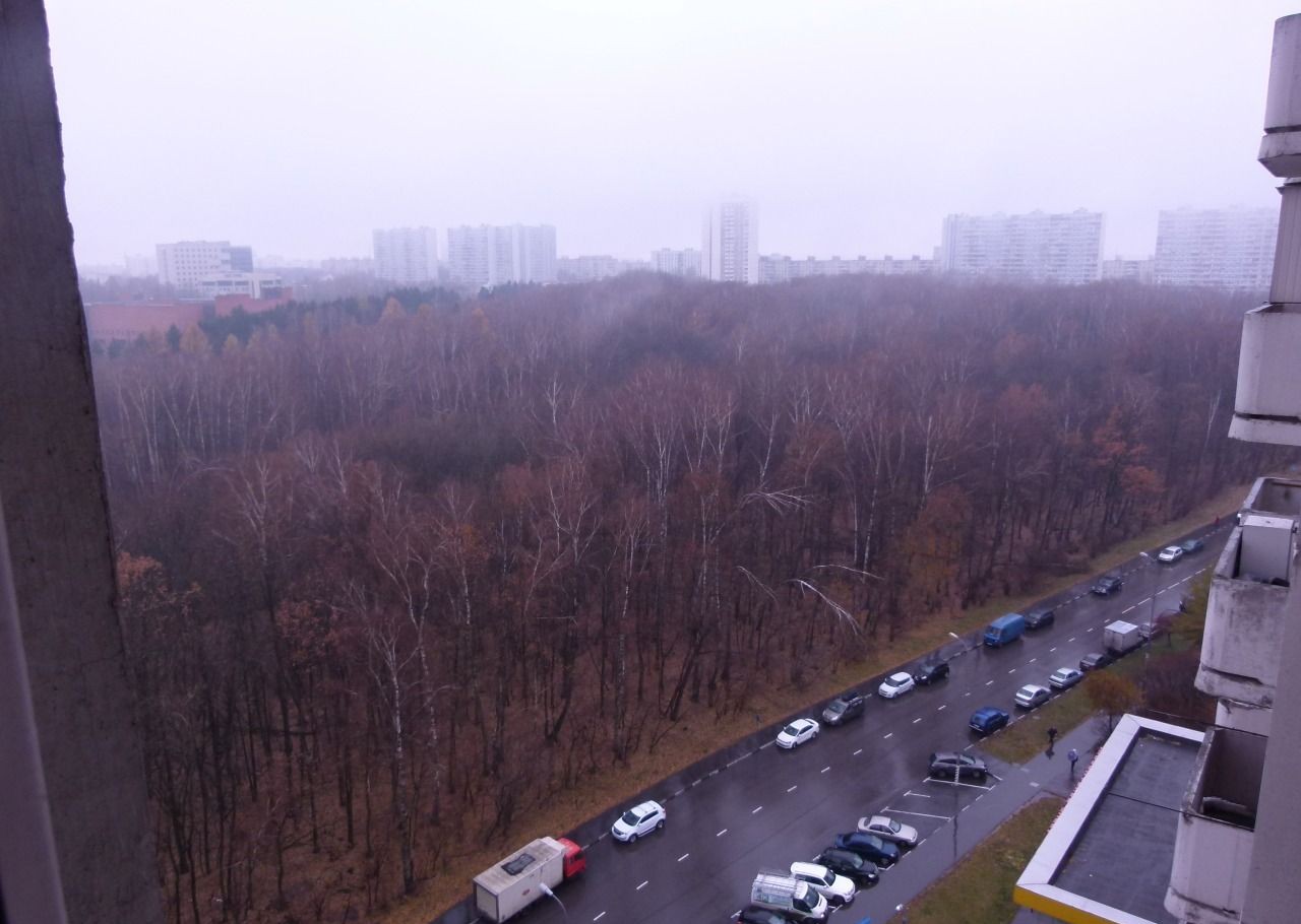 Москва академика капицы. Академика Капицы 26к1 Москва. Коньково улица Академика Капицы. Конькова улика Академика Капицы. М.Коньково ул. Академика Капицы дом 10. Сад..