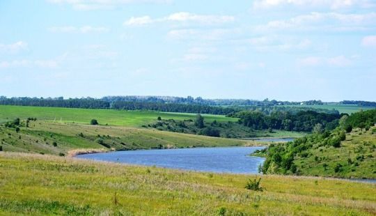 Купить Дом В Елецкое Липецком Районе