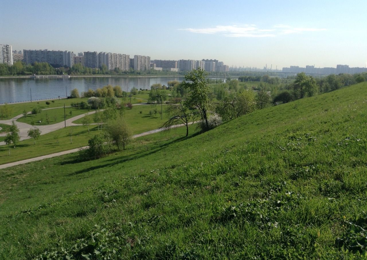 Борисовские пруды. Парк Борисовские пруды Москва. Парк Орехово Борисово. Борисовские пруды метро Борисово.