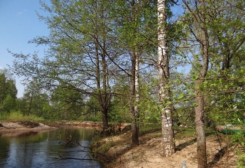 Купить Дом В Копнино Богородского